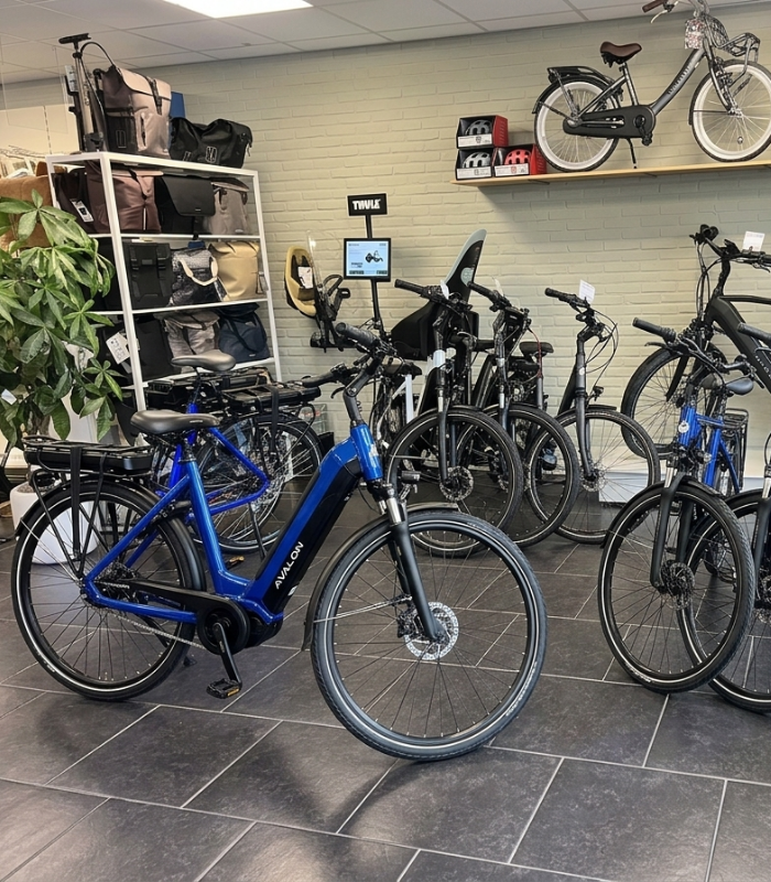 Aanbod fietsen showroom locatie fietsservice elzinga friesland